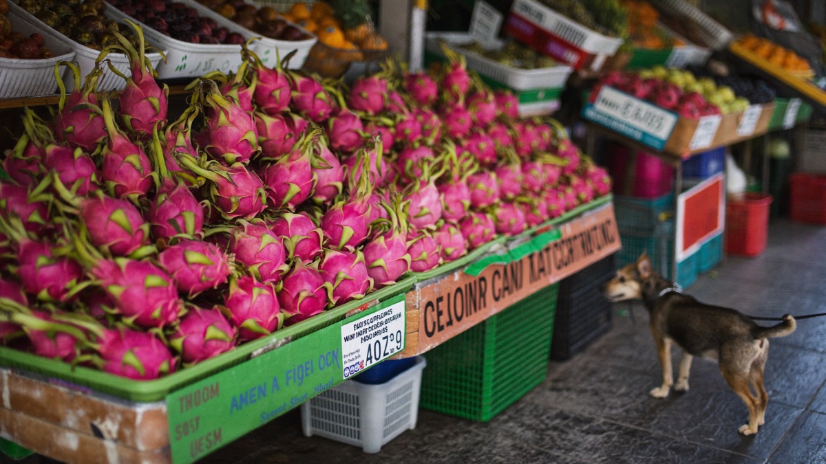 A fruit-stall staple across Singapore and Malaysia — one dragon fruit covers your breakfast and the dog's treat jar