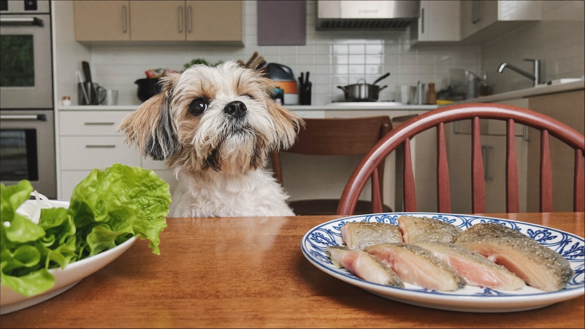 Can Dogs Eat Fish? A Vet-Informed Guide for Singapore and Malaysia