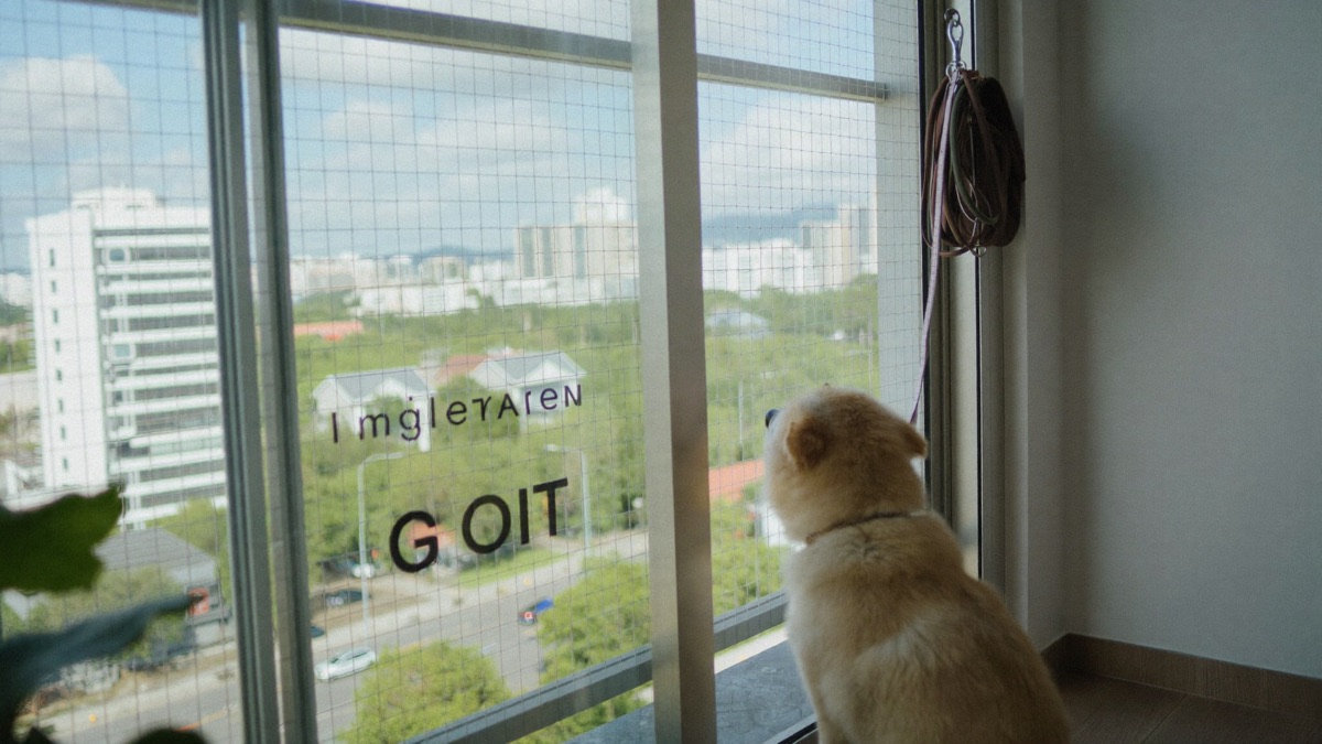 More small pee breaks than usual is often the first visible sign