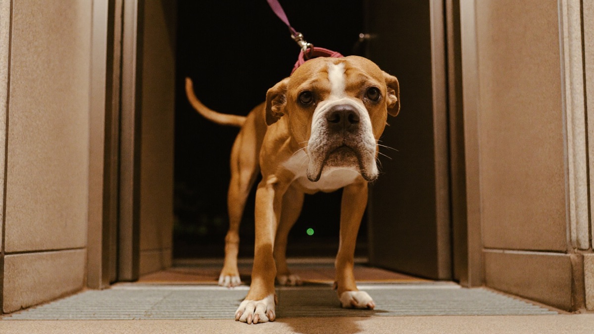 A consistent wind-down — last toilet trip late, room dim, white noise on — makes 2am boring again