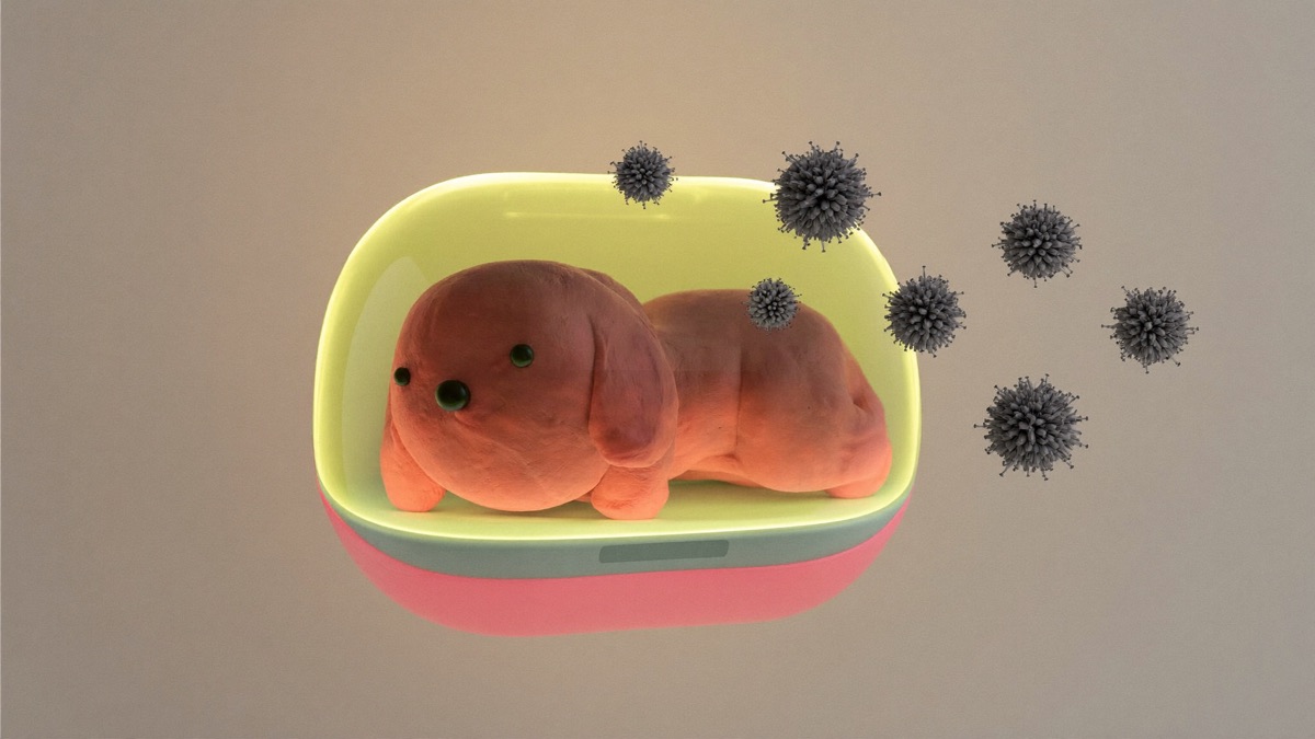Vaccination puts a shield around a puppy that the virus in the environment can't get through